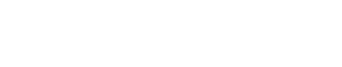 Focus V